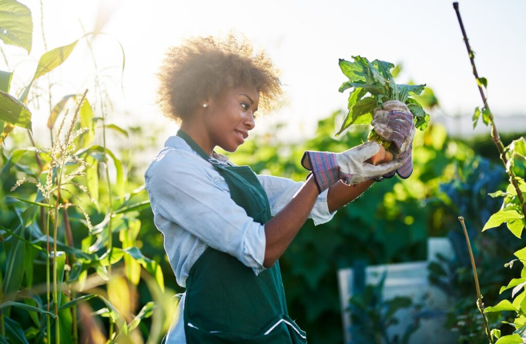 Recycling & Sustainability